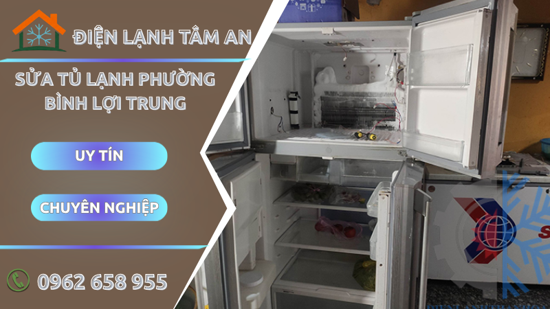 Sửa tủ lạnh Phường Bình Lợi Trung TPHCM