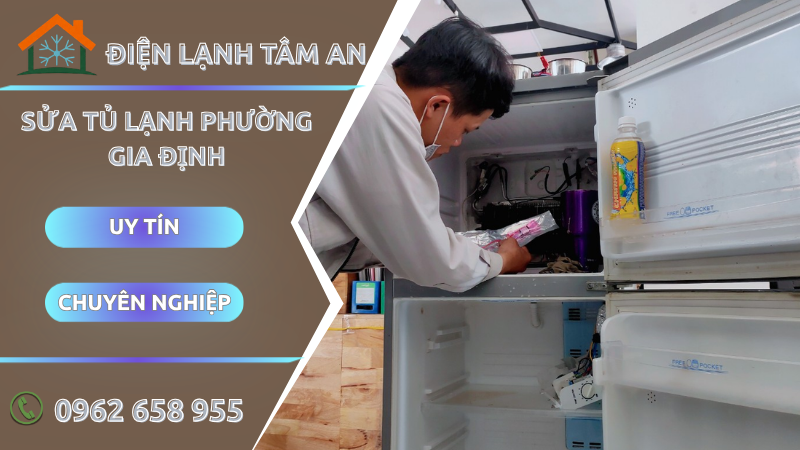 Sửa tủ lạnh Phường Gia Định TPHCM